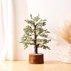 Green Jade Tree 500B MSeal