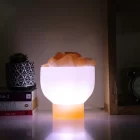 Selenite Bowl With Orange Selenite Lamp
