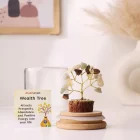 Wealth Tree with Jar (Small)