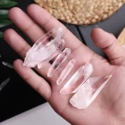 Lemurian Quartz Small Raw Point