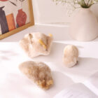 Scolecite with Yellow Calcite Cluster