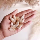 Premium Citrine Raw Stone