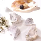 Dendritic Opal Raw Stone